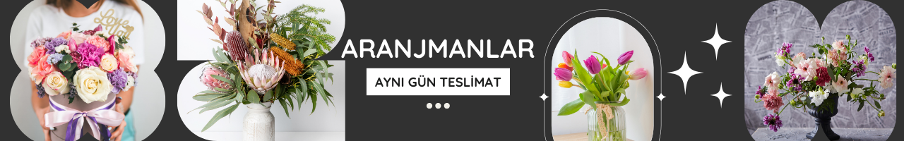 aranjmanlar