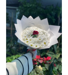 Beyaz Papatya ve Tek Kırmızı Gül Buketi