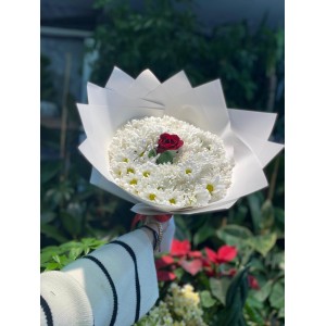 Beyaz Papatya ve Tek Kırmızı Gül Buketi