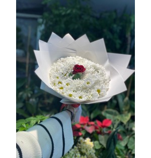 Beyaz Papatya ve Tek Kırmızı Gül Buketi