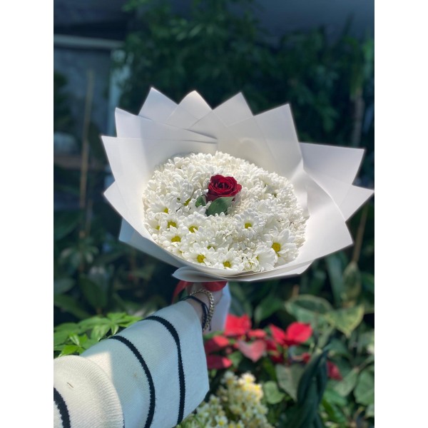 Beyaz Papatya ve Tek Kırmızı Gül Buketi