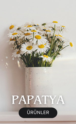 papatyalar