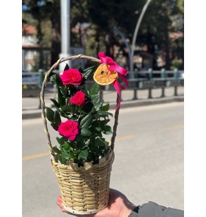 Sepette Özel Çıtır Gül Aranjmanı
